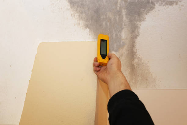 Best Commercial Mold Inspection  in USA